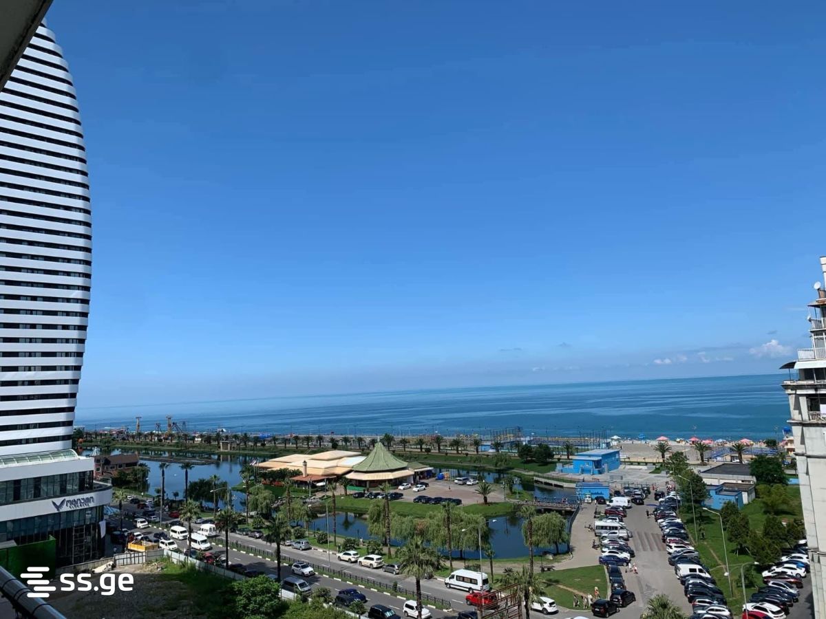3 Room Flat Daily Rent. Batumi view 10