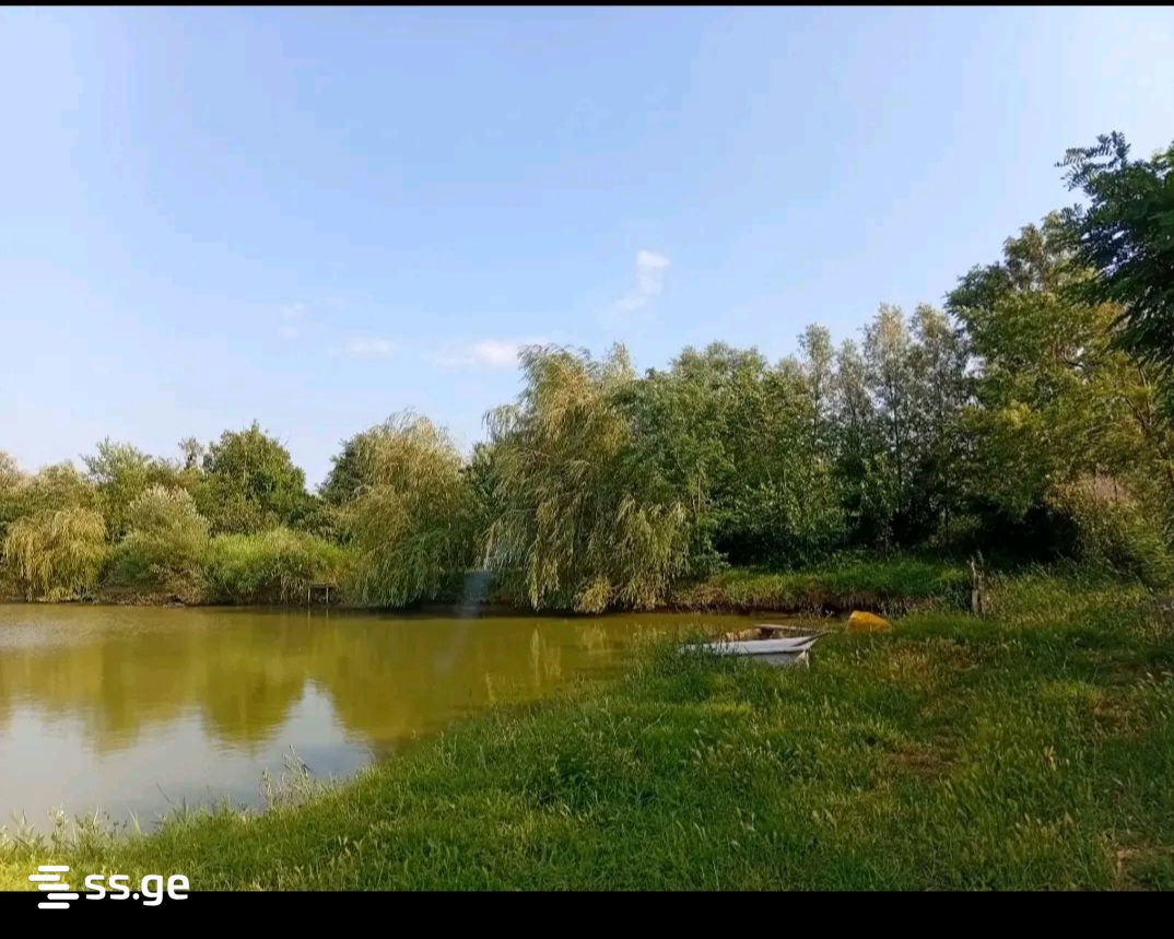 Land For Sale. Tsilkani view 4