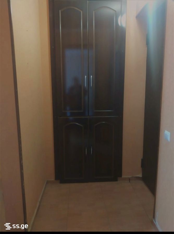 1 Room Flat For Rent. Mtskheta view 5