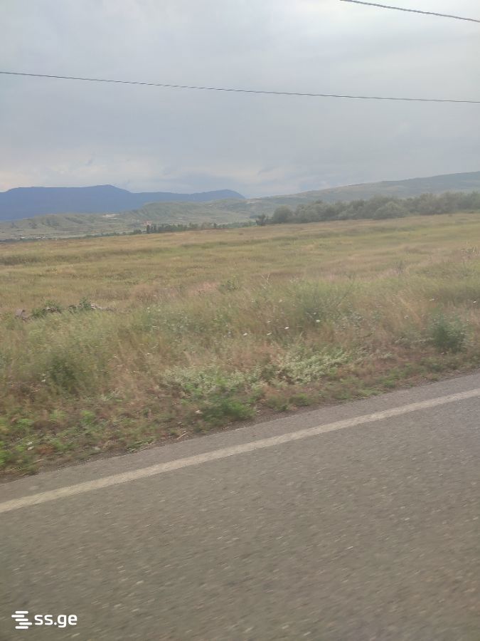 Land For Sale. Gori, 1 of 3