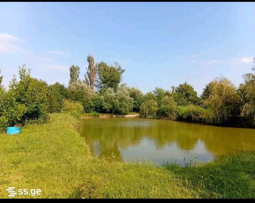 Land For Sale. Tsilkani view 1