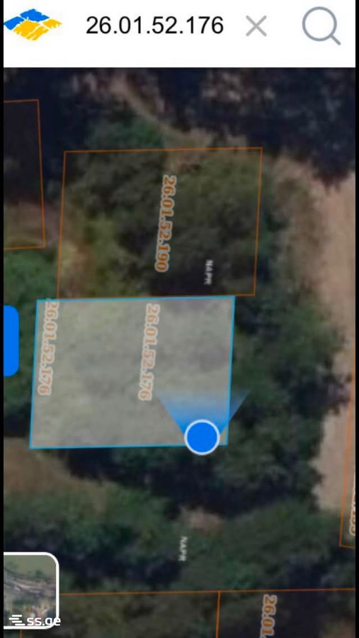 For Sale Sasoplo-Sameurneo Land Plot Ozurgetis Munitsipalitetshi view 4