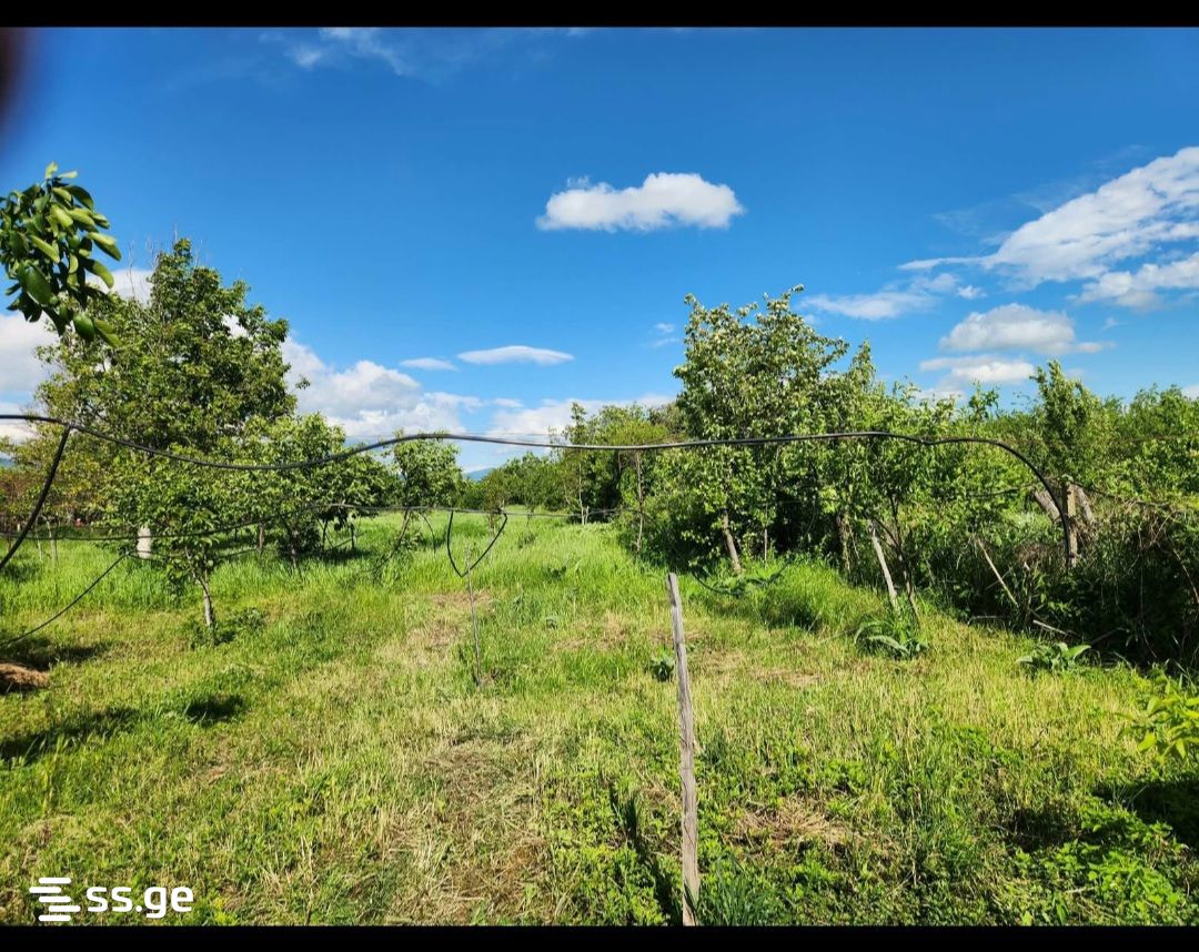 იყიდება 3-ოთახი Summer Cottage view 4