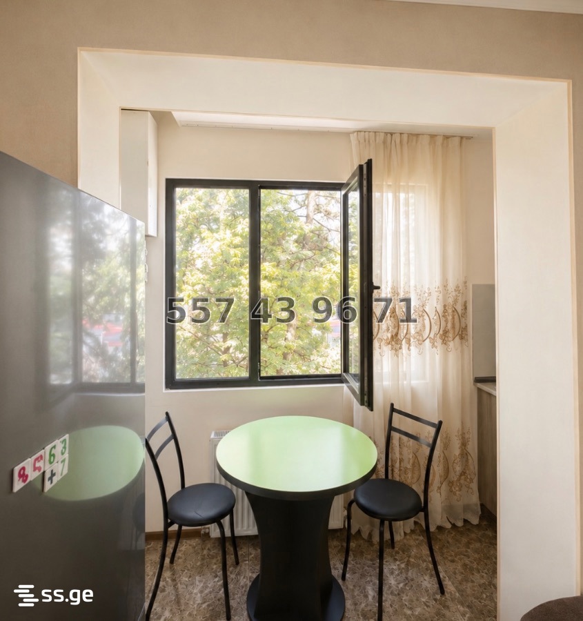 3 Room Flat Daily Rent. Borjomi view 5