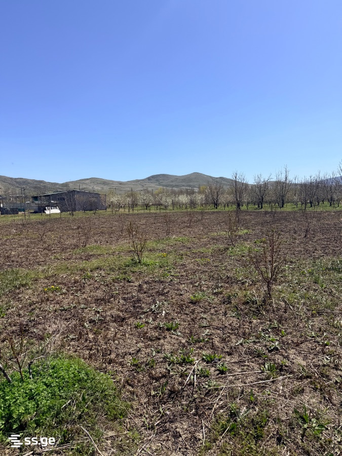 Land For Sale. Gori, 3 of 4