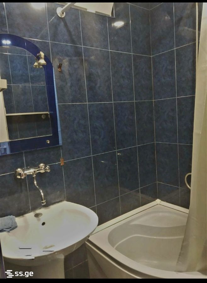 1 Room Flat For Rent. Mtskheta view 6