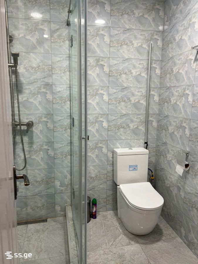 2 Room Flat Daily Rent. Isani, 2 of 4