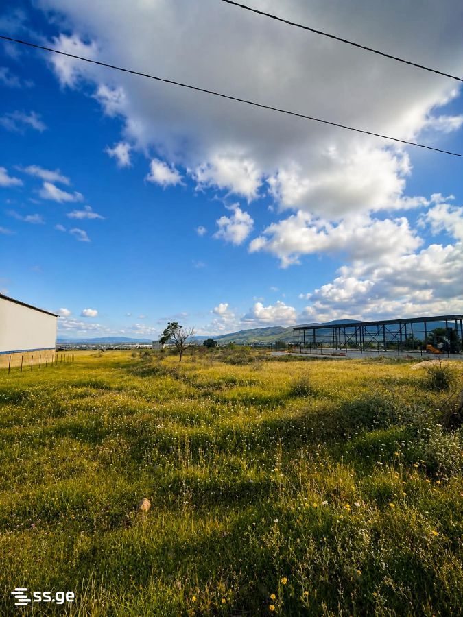 Land For Sale. Saguramo, 1 of 4
