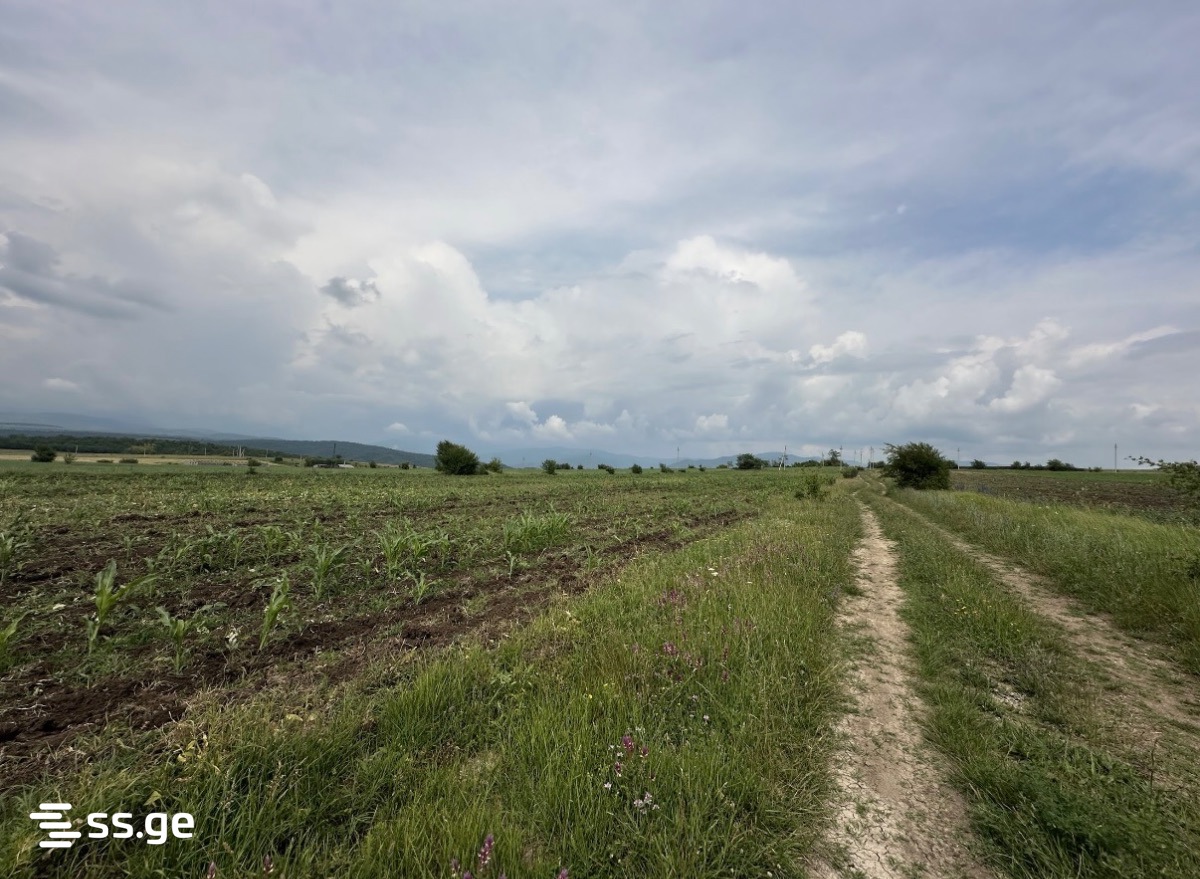 Продажа Земля в базалети view 4