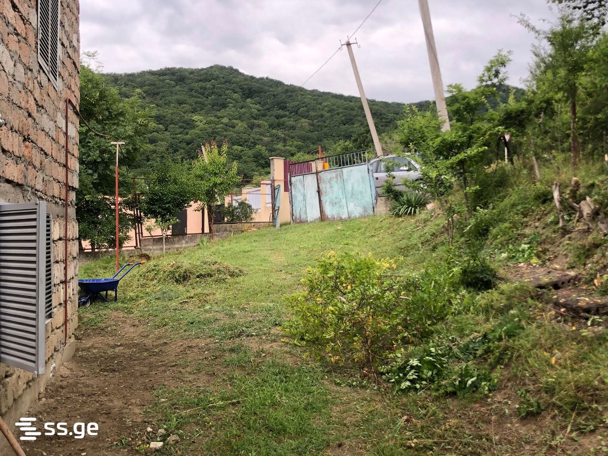 7 Room Summer Cottage For Rent. Mtskheta, 8 of 12