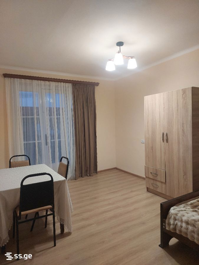 1 Room Flat For Rent. Telavi view 7