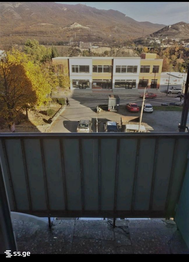 1 Room Flat For Rent. Mtskheta view 2