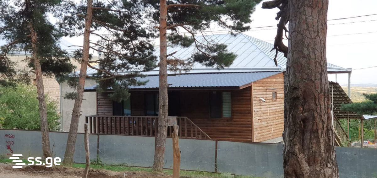 2 Room Private House Daily Rent. Manglisi view 10