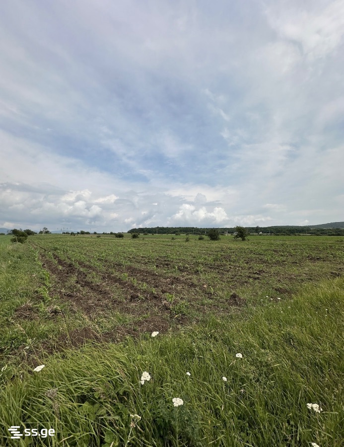 Продажа Земля в базалети view 8