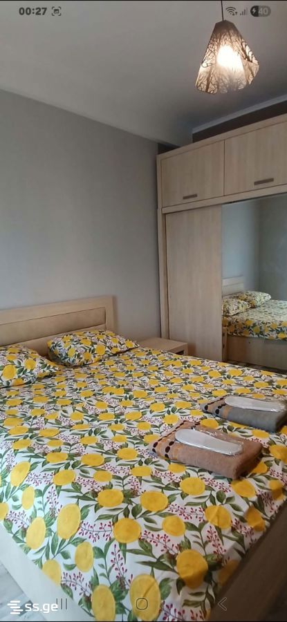 2 Room Flat Daily Rent. Varketili, 2 of 4