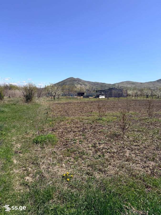 Land For Sale. Gori view 3