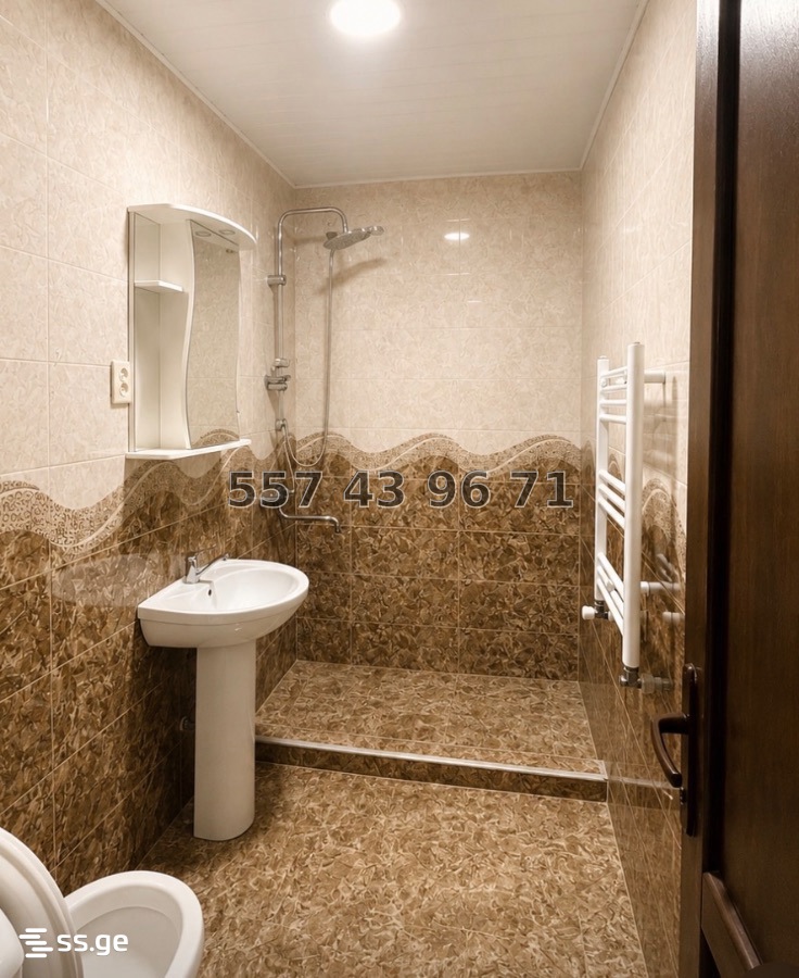 3 Room Flat Daily Rent. Borjomi view 3