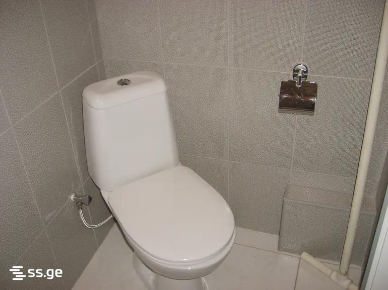 2 Room Flat For Rent. Rustavi view 5