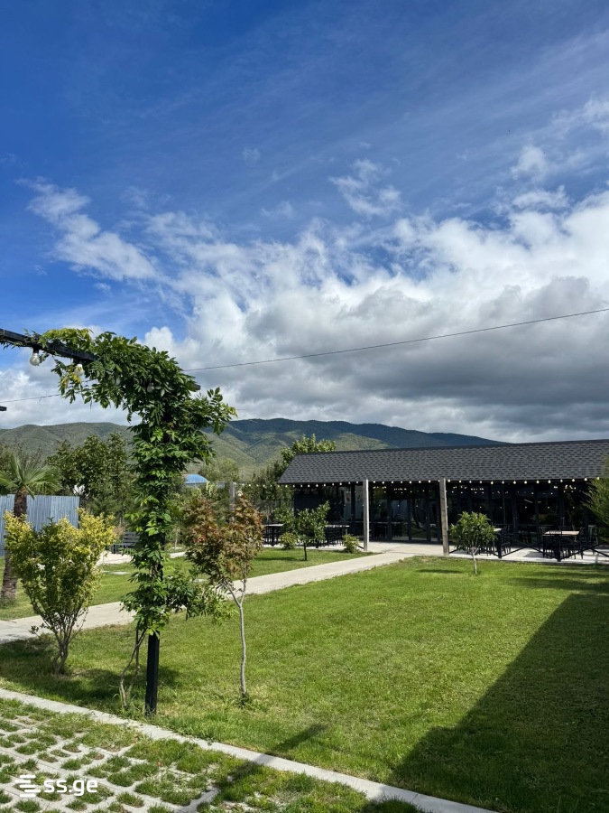 6 Room Private House Daily Rent. Natakhtari view 9