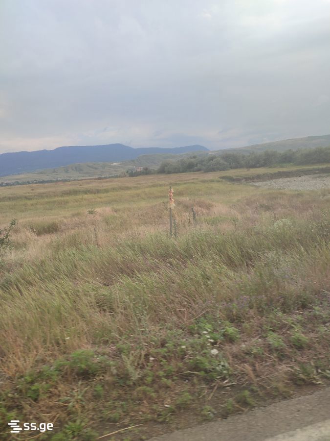 Land For Sale. Gori, 3 of 3