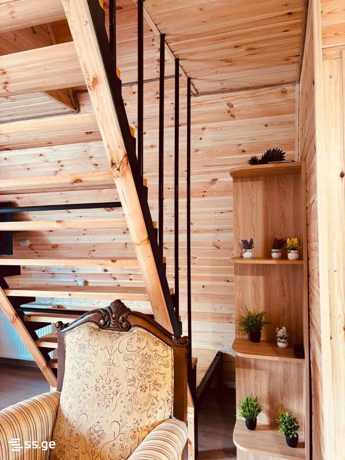Summer Cottage Daily Rent. Borjomi view 13