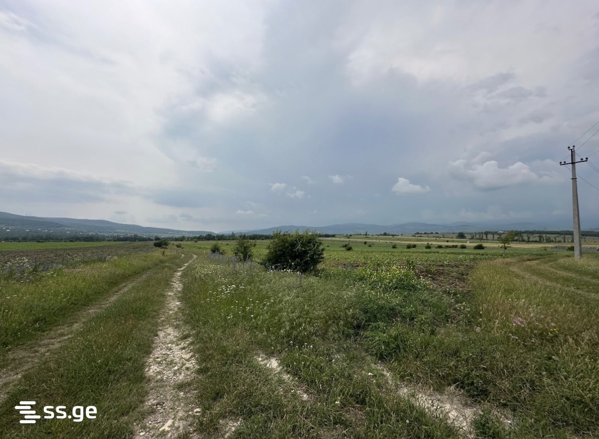 Продажа Земля в базалети view 6