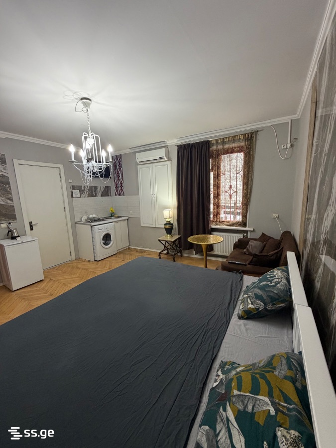 1 Room Flat Daily Rent. Vera view 3