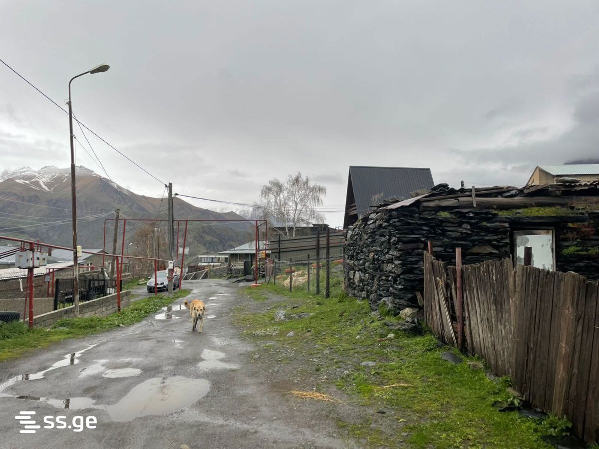 Land For Sale. Kazbegi view 2