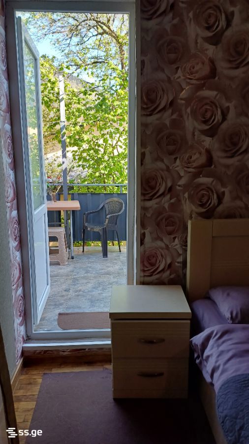 1 Room Private House Daily Rent. Borjomi view 1