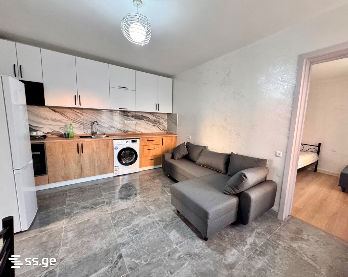3 Room Private House For Rent. Batumi view 2