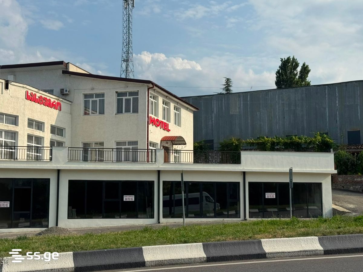 Commercial Space For Rent. Telavi view 12