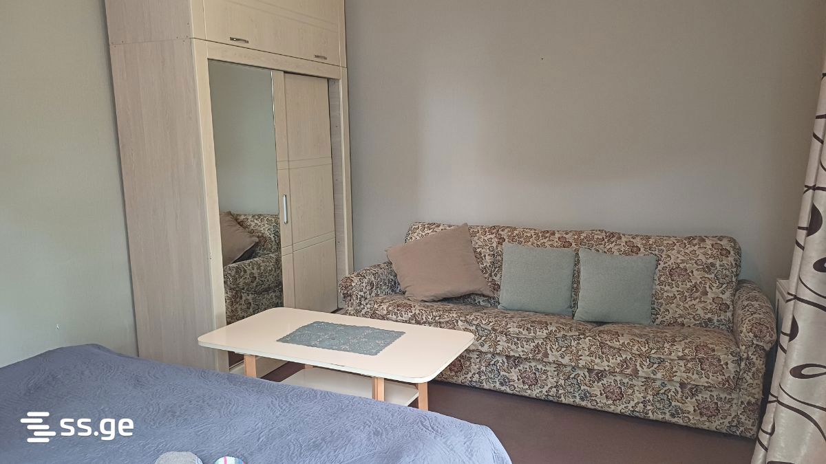 1 Room Private House Daily Rent. Borjomi view 9