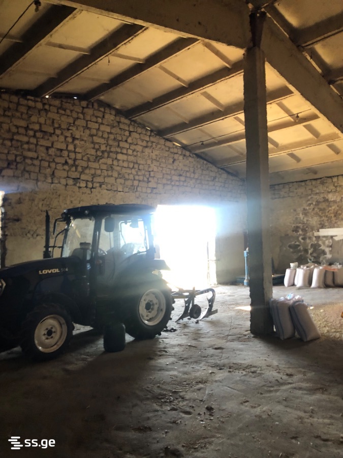 Store-Industrial Property For Sale. Gori view 6