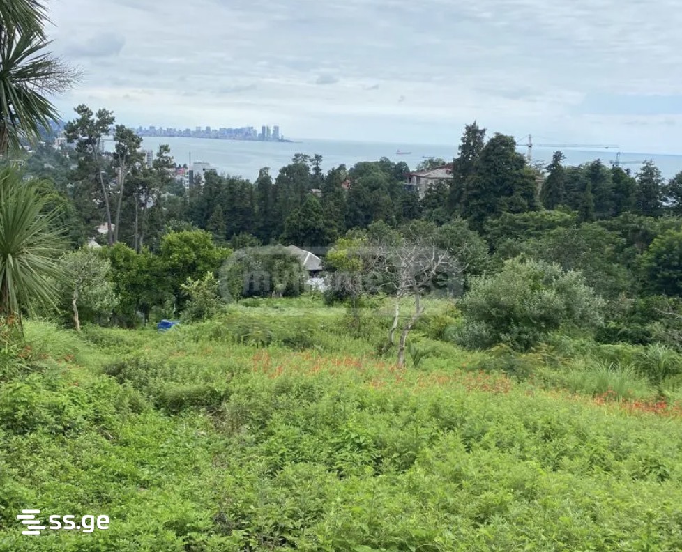 Land For Sale. Batumi view 2