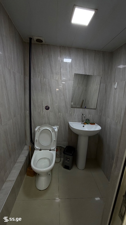 Private House For Rent. Chugureti view 5