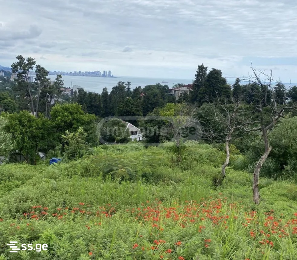 Land For Sale. Batumi view 1