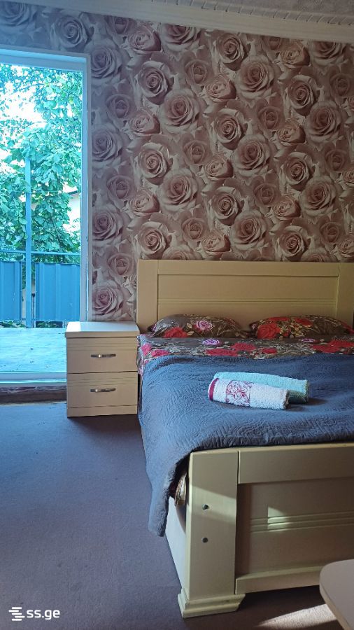 1 Room Private House Daily Rent. Borjomi view 5