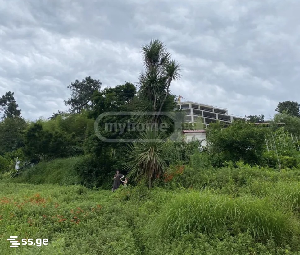 Land For Sale. Batumi view 3