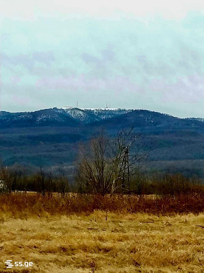 Land For Sale. Telavi, 3 of 4