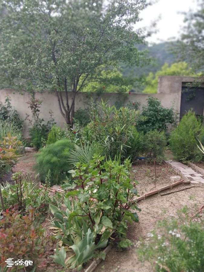 3 Room Private House For Rent. Mtskheta view 10