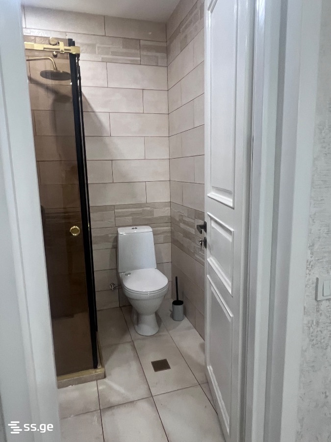 2 room Flat For Rent. Didi digomi - Widok 3