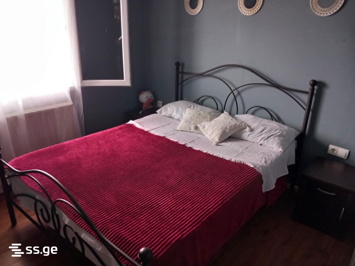 3 Room Summer Cottage Daily Rent. Bazaleti view 9