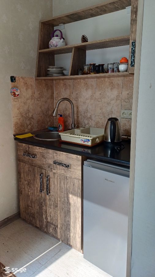 1 Room Private House Daily Rent. Borjomi view 8
