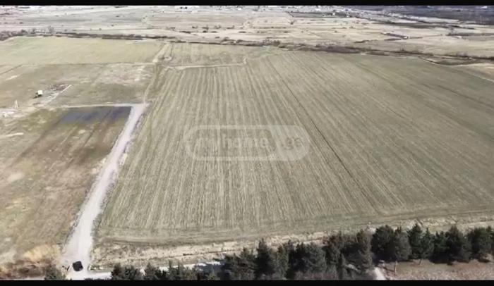 https://static.ss.ge/20260713/13_ef9bf479-d086-489a-891e-c22a667bca5d_Thumb.jpg