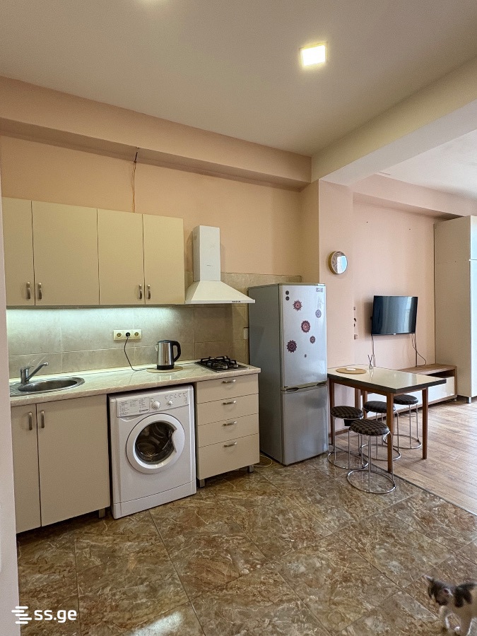 1 room Flat For Rent. Didi digomi - Widok 4