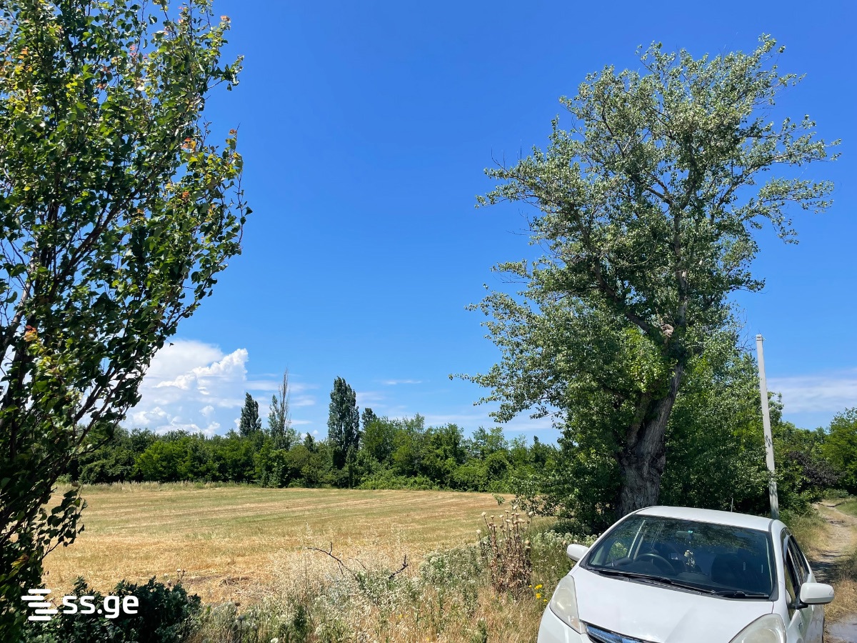 Land For Sale. Gamarjveba view 1