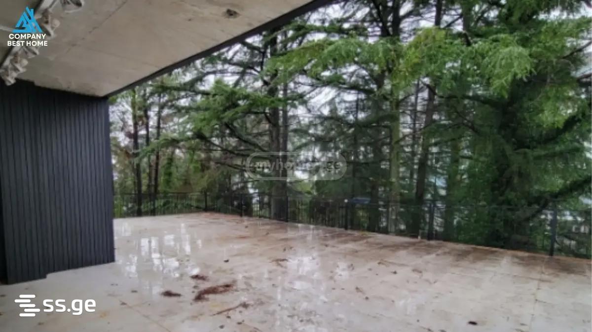 Commercial Real Estate For Sale. Kobuleti view 2
