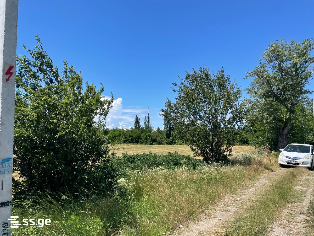 Land For Sale. Gamarjveba view 3