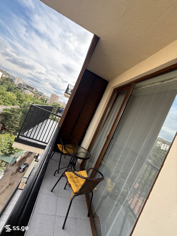 2 Room Flat Daily Rent. Nadzaladevi, 3 of 4
