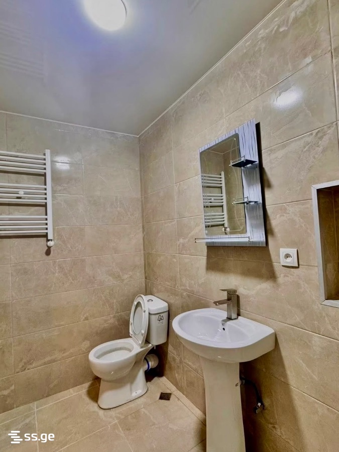 3 Room Private House For Rent. Batumi view 8